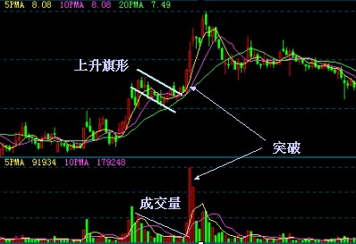 ST紫天：公司股票可能被终止上市 7月21日起停牌