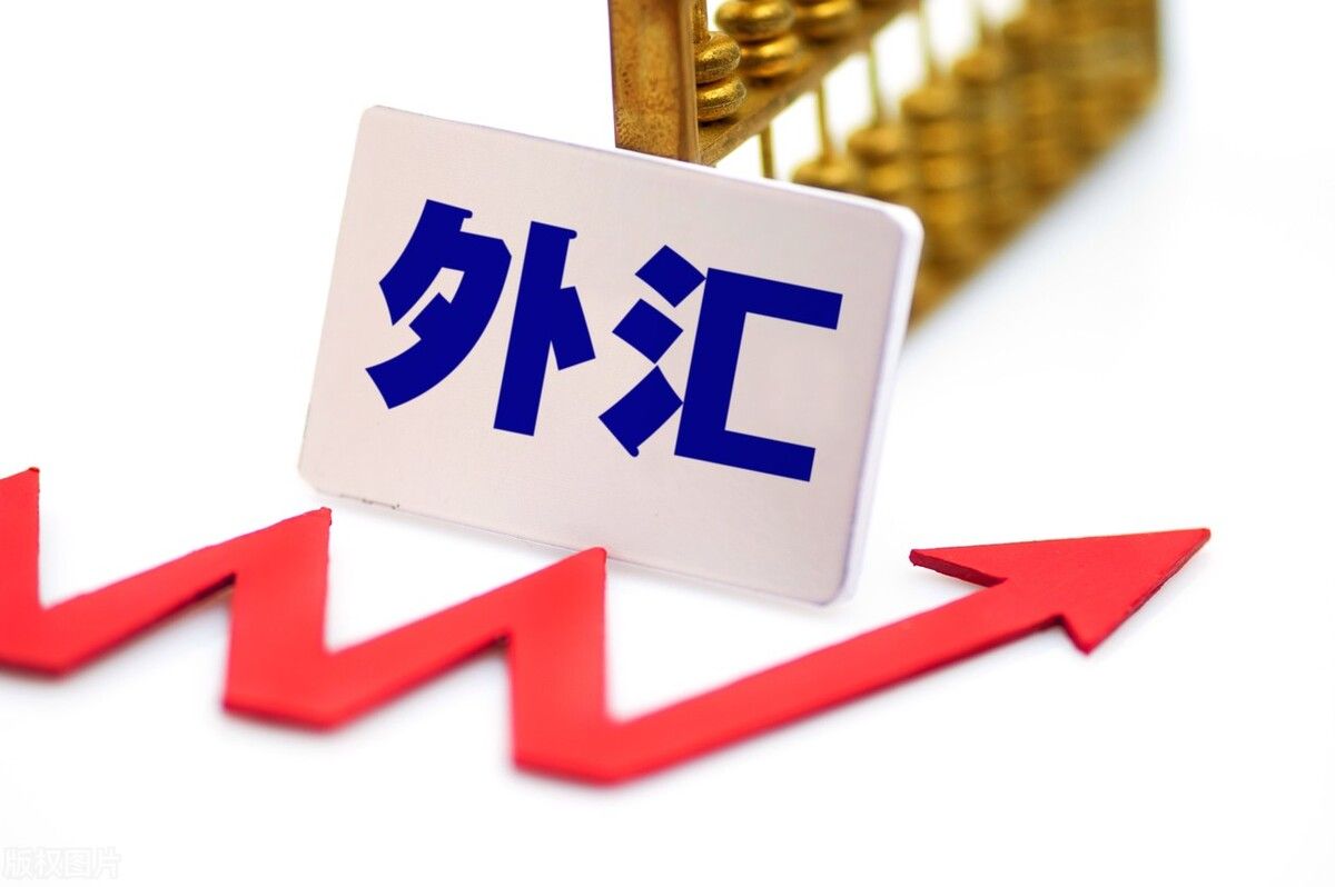 上半年我国外汇市场展现较强韧性和活力